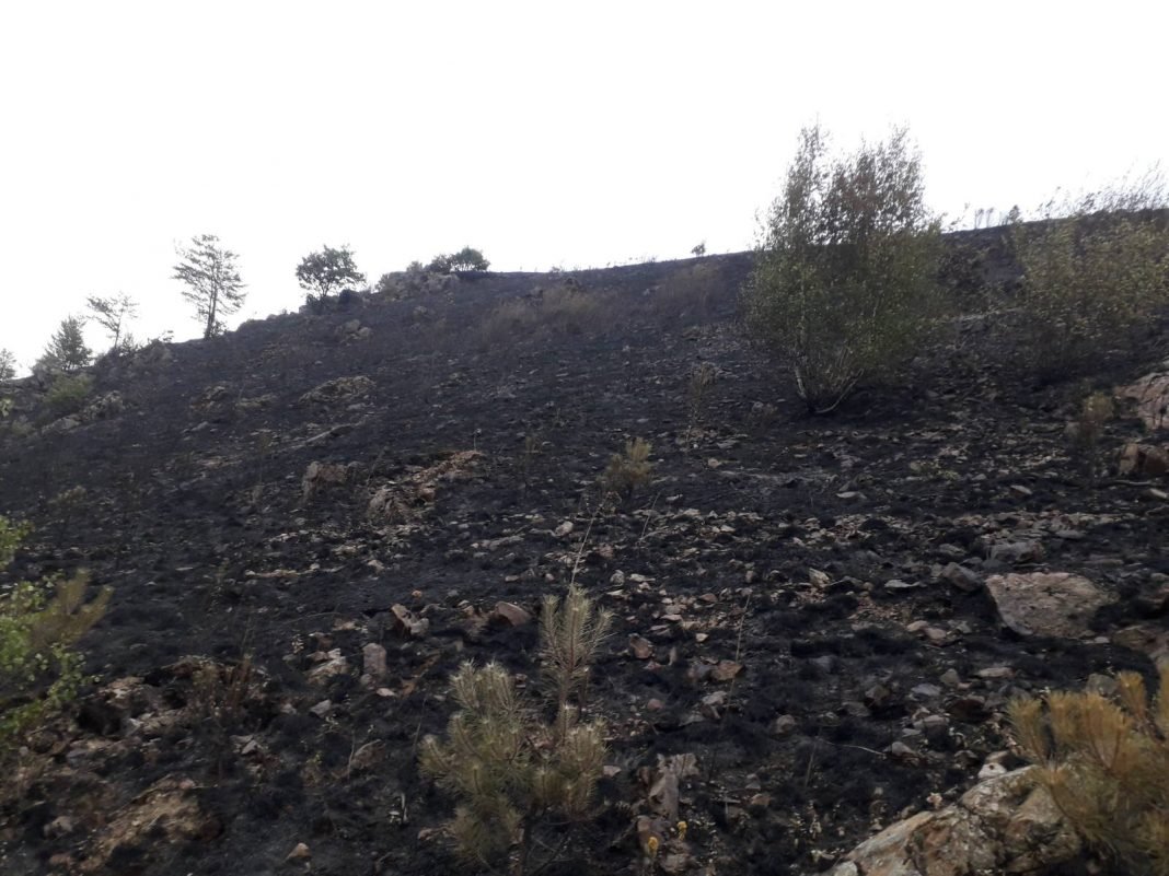 (FOTO) Pogledajte kako izgleda teren iznad Raževaca nakon velikog požara