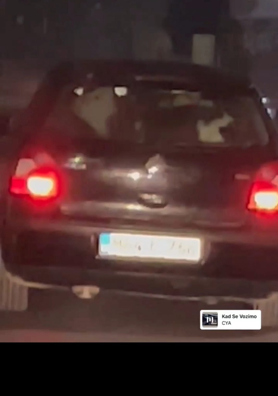 VIDEO: Može tele i u gepek