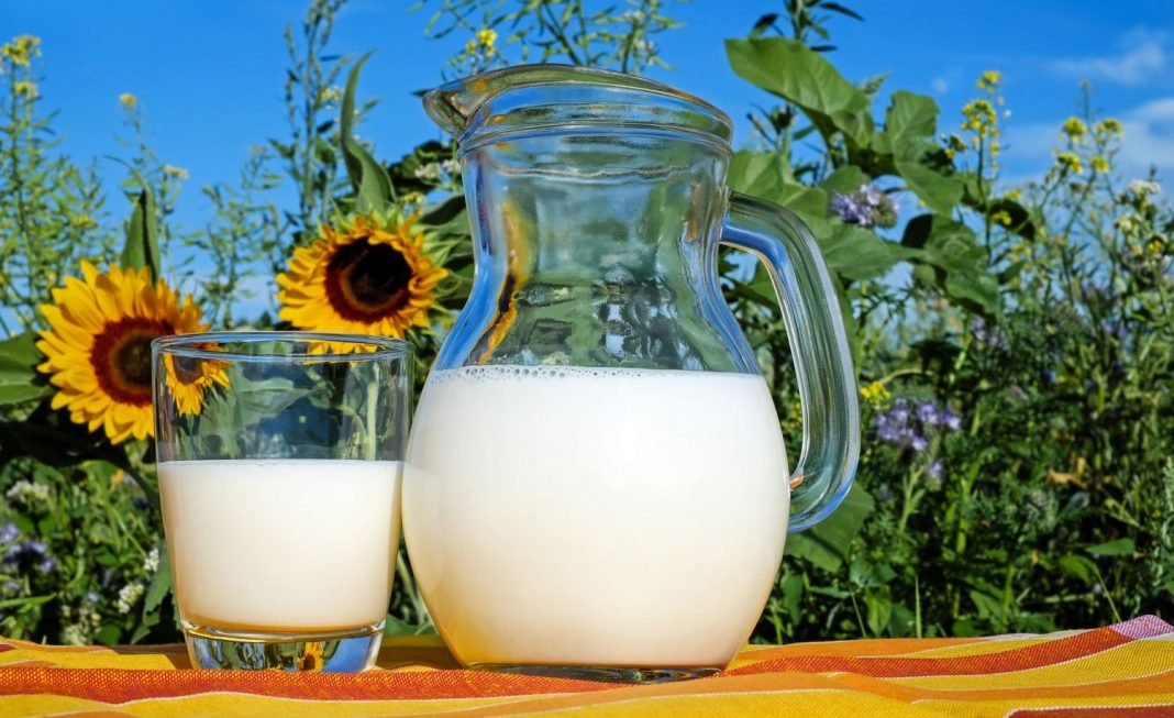 Bosnu i Hercegovinu pogodila nestašica mlijeka, očekuje se veliki rast cijena