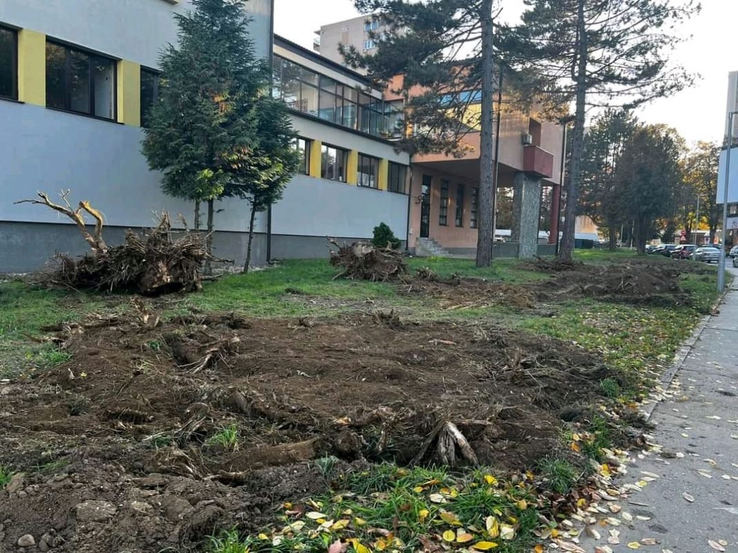 Uklonjeni panjevi iza zgrade kantonalnog suda