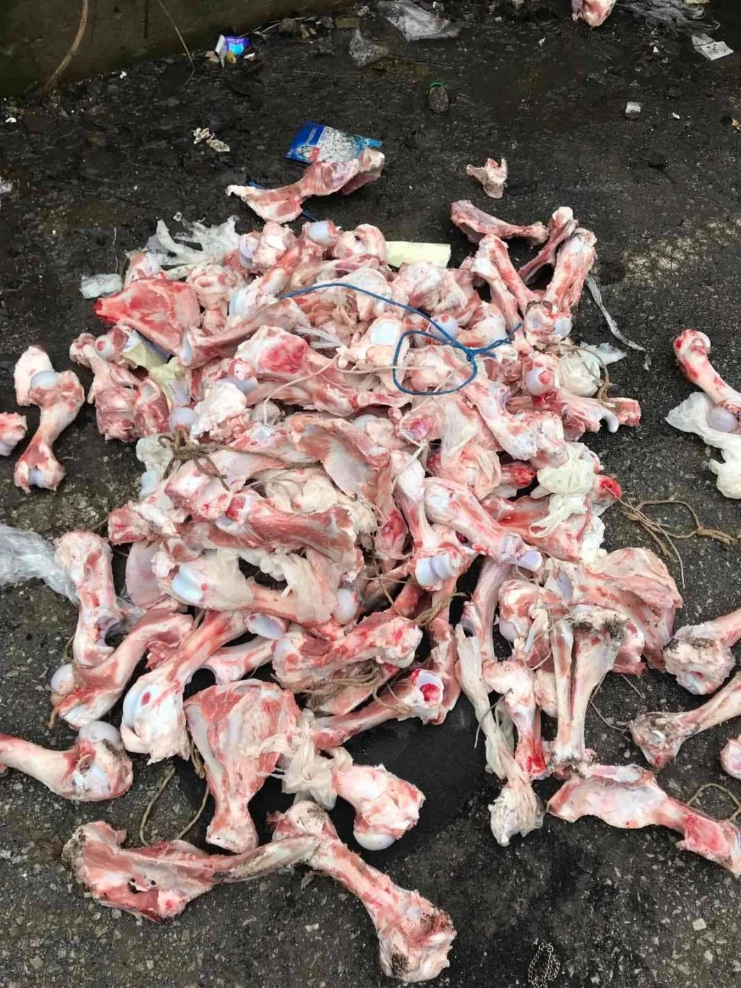 Prijavite nepropisno odlaganje otpada na području Novog Travnika!