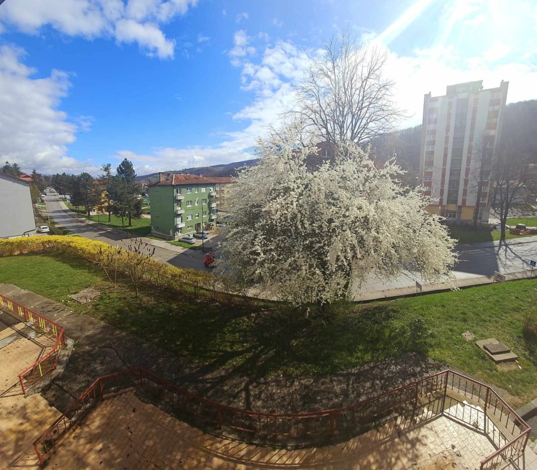 Danas je prvi dan proljeća